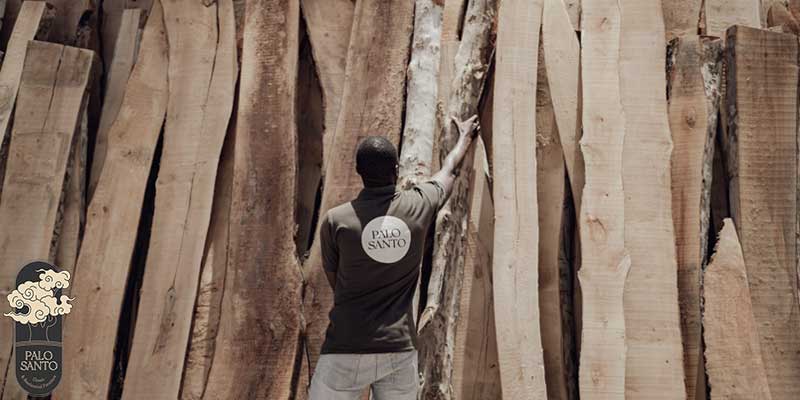چوب راش درجه یک برای ساخت کلاف مبل در کارخانه تولید مبل پالو سانتو